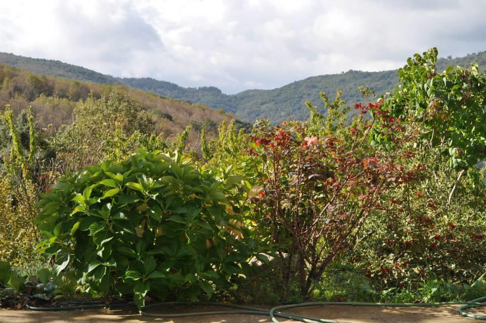 Mattale Villa Tonara Dış mekan fotoğraf